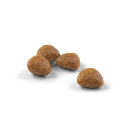 Royal Canin Outdoor Cat Ageing 7+ Dry Food - Image 3