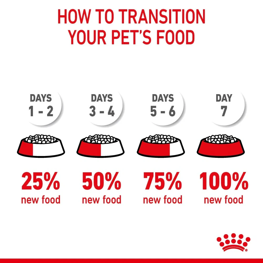 Royal Canin Urinary Care in Jelly Adult Cat Food Pouch 85g - Image 5