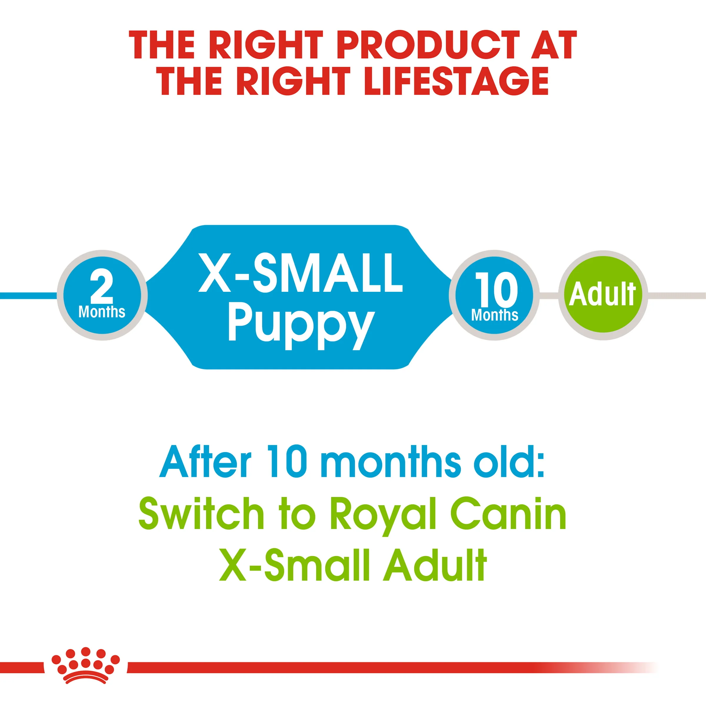 Royal Canin Junior X-small dog 1.5kg - Image 4