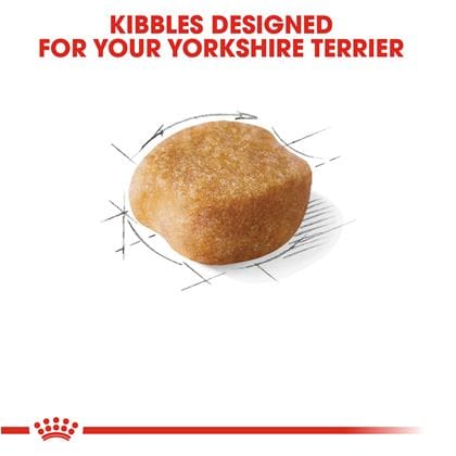 Royal Canin Yorkshire Terrier - Image 4