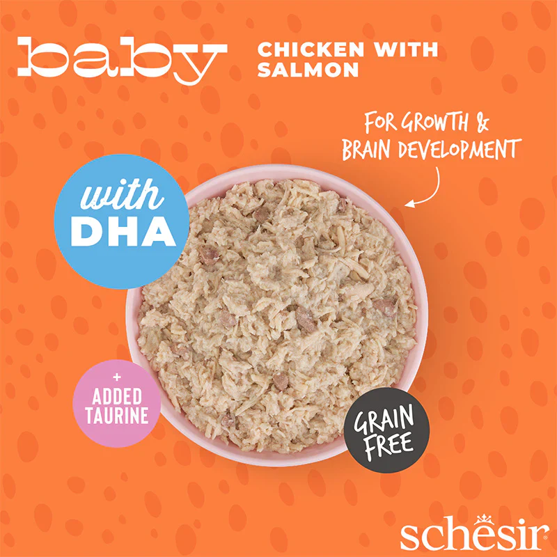 Schesir Baby Chicken/Salmon 70g - Image 4