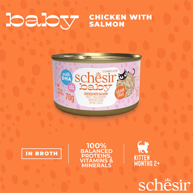 Schesir Baby Chicken/Salmon 70g - Image 5