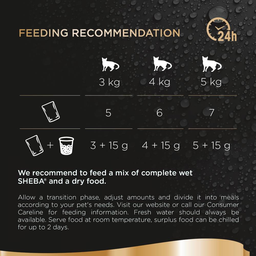 Sheba Fish Selection in Jelly Wet Cat Food 6x50g - Image 2