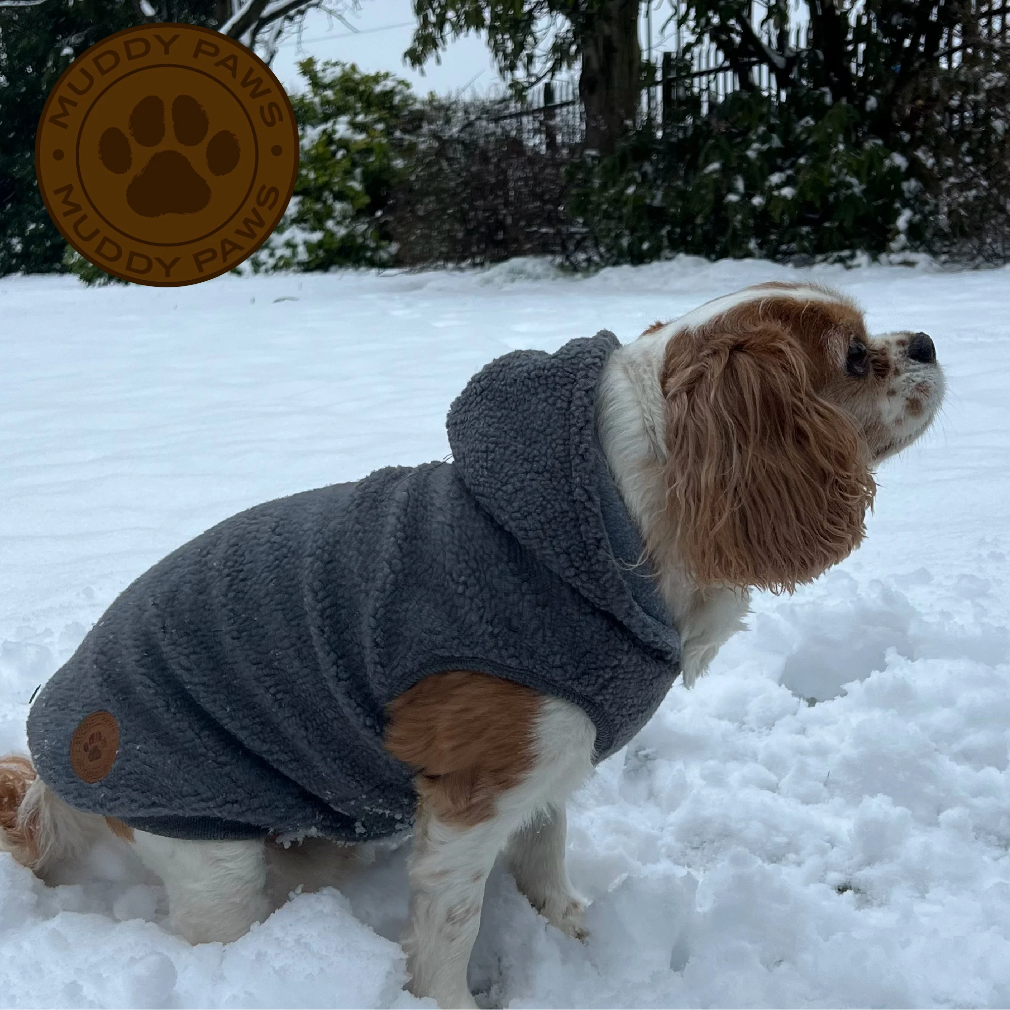 Sherpa Teddy Dog Fleece - Image 2