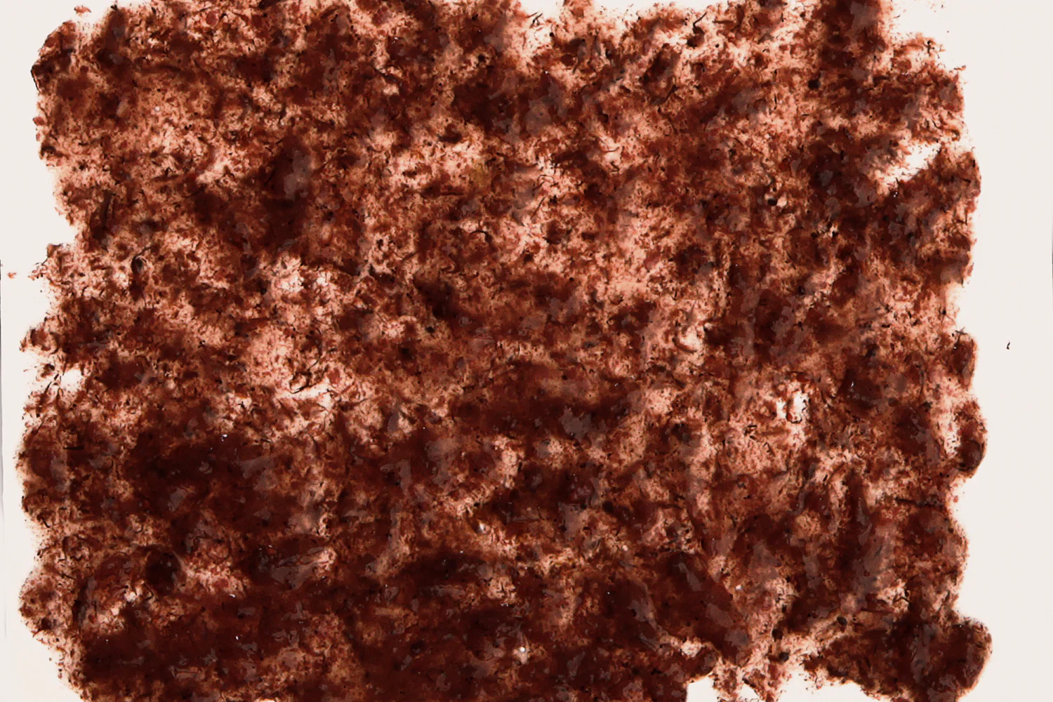 Tetra FreshDelica Brine Shrimps - Image 3