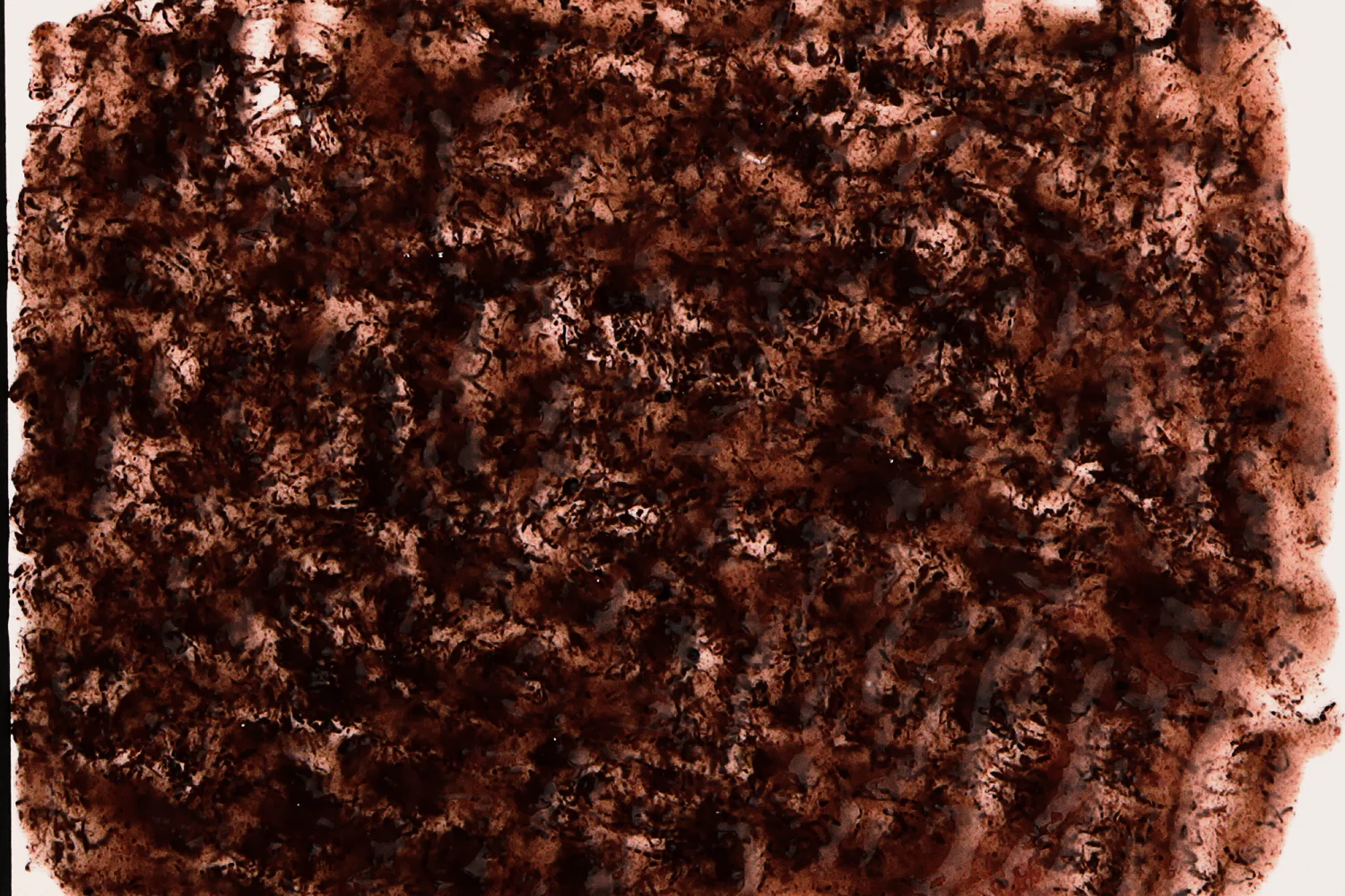 Tetra FreshDelica Bloodworms - Image 3