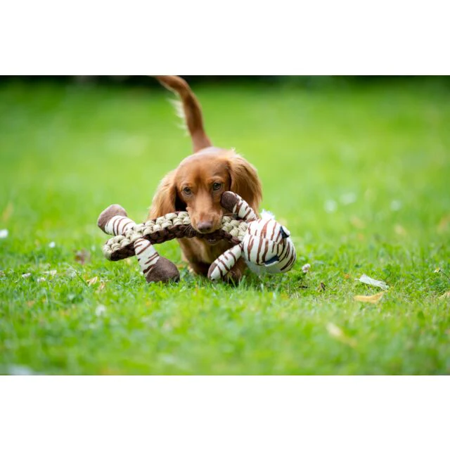 Trixie Tiger Plush Dog Toy 32cm - Image 2