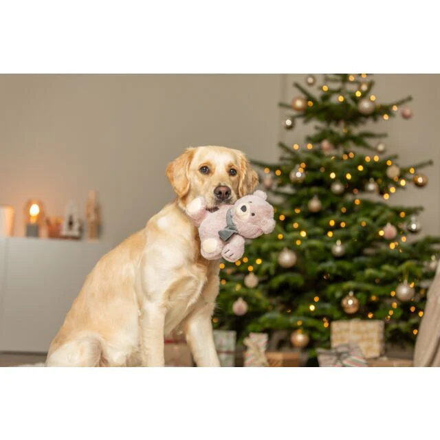 Trixie Christmas Teddy Plush Dog Toy 19cm - Image 3