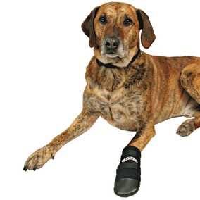 Trixie Dog Boots Medium - Image 2