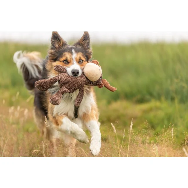 Trixie Moose Plush Dog Toy 36cm - Image 4
