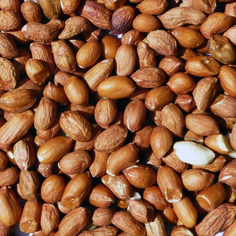 Nature's Best Wild Bird Peanuts 2.5kg - Refill
