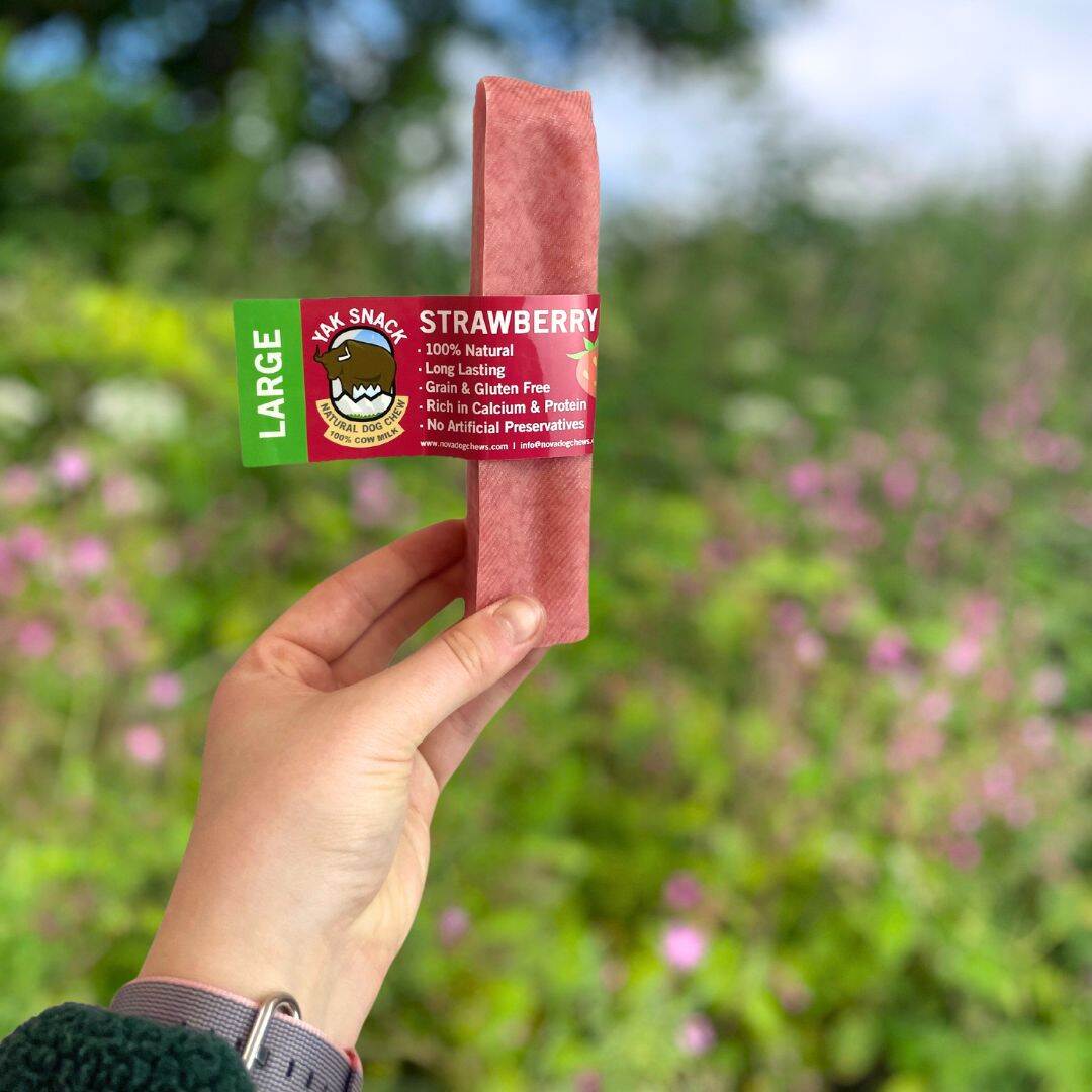 Himalayan Yak Snack Dog Treat - Image 6